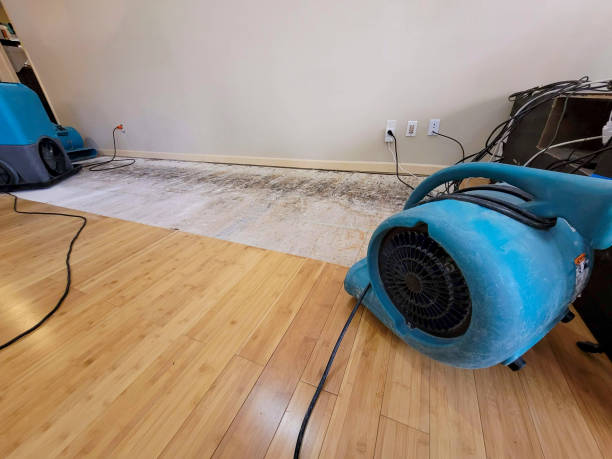 Professional Structural Drying technician working in Atwood, TN